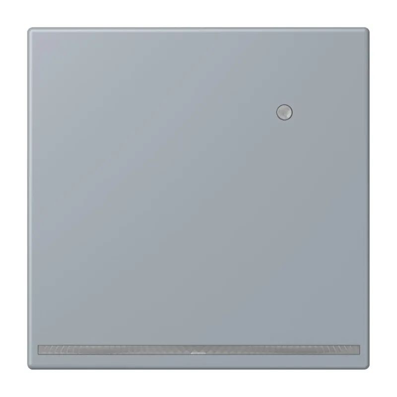 Jung LED-Orientierungslicht mit Helligkeitssensor, Serie LS, gris clair 59 LC1539-OLNW257