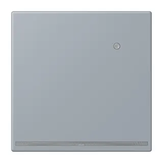 Jung LED-Orientierungslicht mit Helligkeitssensor, Serie LS, gris clair 59 LC1539-OLNW257