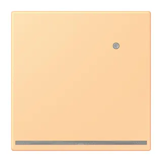 Jung LED-Orientierungslicht mit Helligkeitssensor, Serie LS, terre sienne claire 59 LC1539-OLNW258