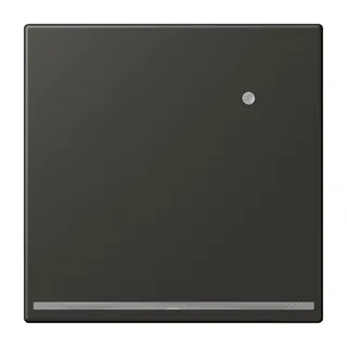 Jung LED-Orientierungslicht mit Helligkeitssensor, Serie LS, ombre naturelle 59 LC1539-OLNW259