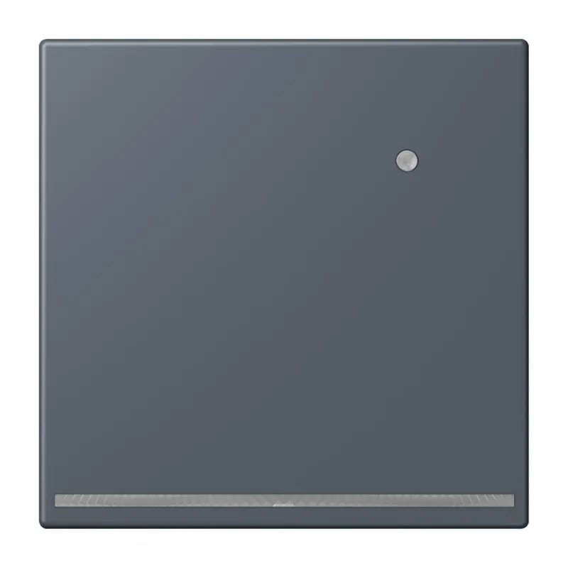 Jung LED-Orientierungslicht mit Helligkeitssensor, Serie LS, gris fonce 59 LC1539-OLNW262