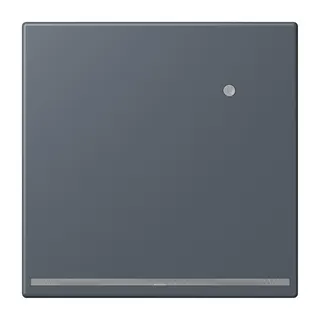 Jung LED-Orientierungslicht mit Helligkeitssensor, Serie LS, gris fonce 59 LC1539-OLNW262