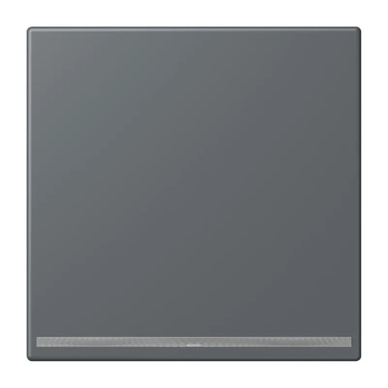 Jung LED-Orientierungslicht, Thermoplast lackiert, Serie LS, gris foncé 31 LC1539-OOLNW202