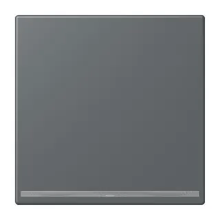 Jung LED-Orientierungslicht, Thermoplast lackiert, Serie LS, gris foncé 31 LC1539-OOLNW202
