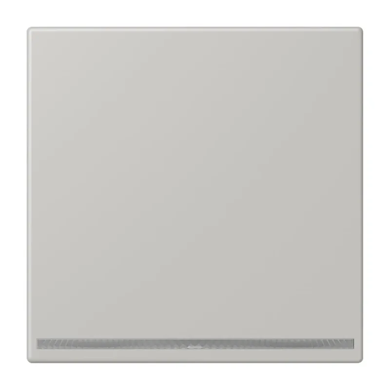 Jung LED-Orientierungslicht, Thermoplast lackiert, Serie LS, gris clair 31 LC1539-OOLNW205