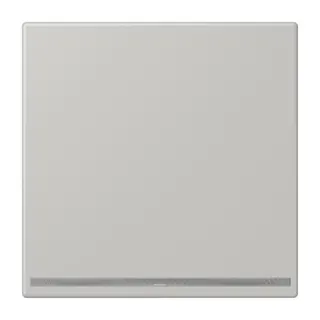 Jung LED-Orientierungslicht, Thermoplast lackiert, Serie LS, gris clair 31 LC1539-OOLNW205