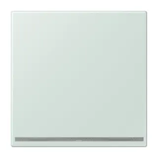 Jung LED-Orientierungslicht, Thermoplast lackiert, Serie LS, céruléen pale LC1539-OOLNW215