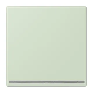Jung LED-Orientierungslicht, Thermoplast lackiert, Serie LS, vert anglâis pale LC1539-OOLNW218