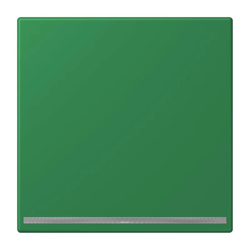 Jung LED-Orientierungslicht, Thermoplast lackiert, Serie LS, vert foncé LC1539-OOLNW219