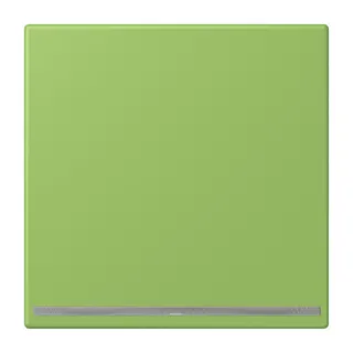 Jung LED-Orientierungslicht, Thermoplast lackiert, Serie LS, vert 31 LC1539-OOLNW220