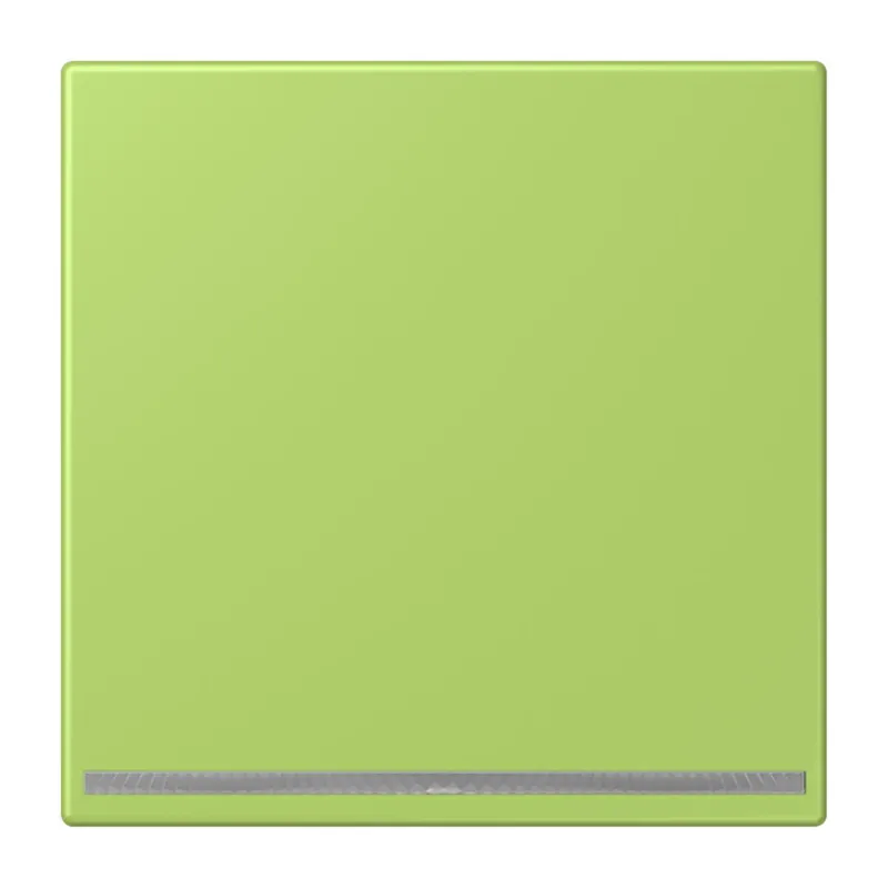 Jung LED-Orientierungslicht, Thermoplast lackiert, Serie LS, vert clair LC1539-OOLNW221