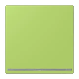 Jung LED-Orientierungslicht, Thermoplast lackiert, Serie LS, vert clair LC1539-OOLNW221