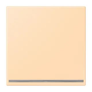 Jung LED-Orientierungslicht, Thermoplast lackiert, Serie LS, ocre LC1539-OOLNW223