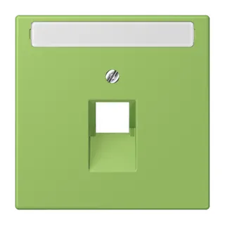 Jung Abdeckung für IAE/UAE-Anschlussdosen 1 x 8-polig, mit Schriftfeld, Thermoplast lackiert, Serie LS, vert 31 LC969-1NAUA220