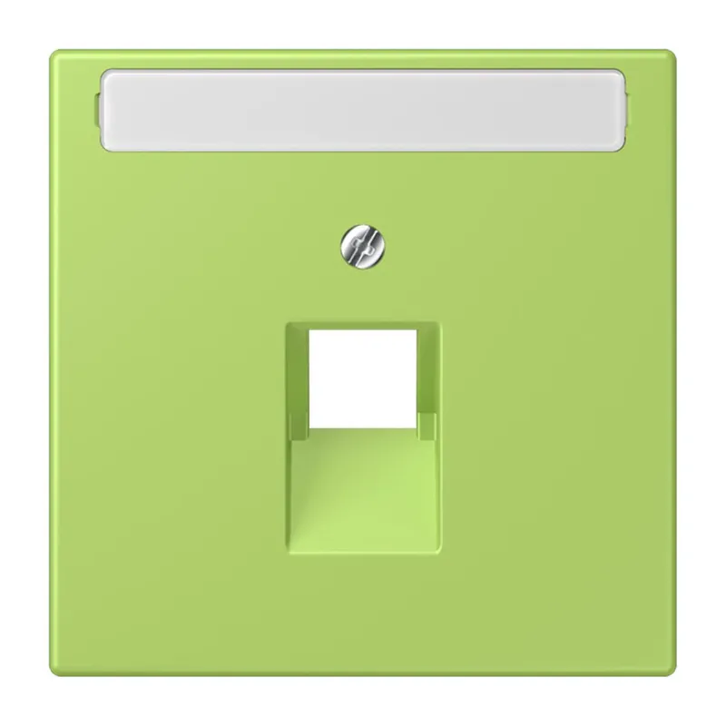 Jung Abdeckung für IAE/UAE-Anschlussdosen 1 x 8-polig, mit Schriftfeld, Thermoplast lackiert, Serie LS, vert clair LC969-1NAUA221