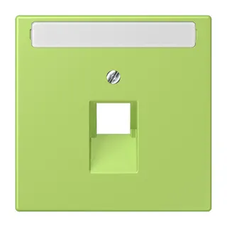 Jung Abdeckung für IAE/UAE-Anschlussdosen 1 x 8-polig, mit Schriftfeld, Thermoplast lackiert, Serie LS, vert clair LC969-1NAUA221
