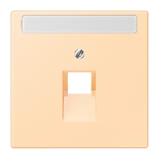 Jung Abdeckung für IAE/UAE-Anschlussdosen 1 x 8-polig, mit Schriftfeld, Thermoplast lackiert, Serie LS, ocre LC969-1NAUA223