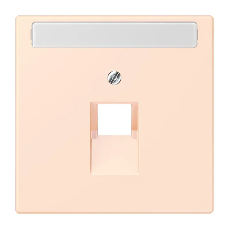 Jung Abdeckung für IAE/UAE-Anschlussdosen 1 x 8-polig, mit Schriftfeld, Thermoplast lackiert, Serie LS, orange pâle LC969-1NAUA226