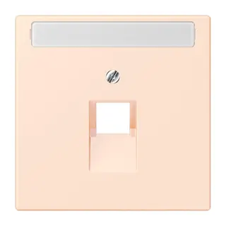 Jung Abdeckung für IAE/UAE-Anschlussdosen 1 x 8-polig, mit Schriftfeld, Thermoplast lackiert, Serie LS, orange pâle LC969-1NAUA226