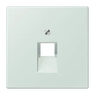 Jung Abdeckung für IAE/UAE-Anschlussdosen 1 x 8-polig, Thermoplast lackiert, Serie LS, céruléen pale LC969-1UA215
