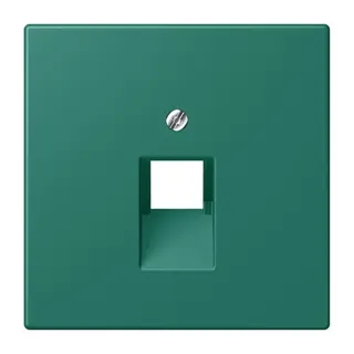 Jung Abdeckung für IAE/UAE-Anschlussdosen 1 x 8-polig, Thermoplast lackiert, Serie LS, vert anglais LC969-1UA216
