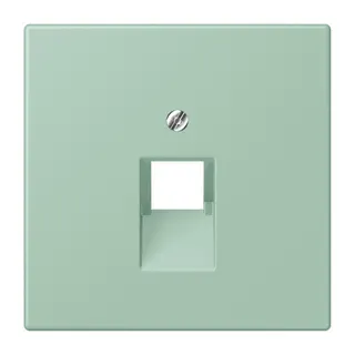 Jung Abdeckung für IAE/UAE-Anschlussdosen 1 x 8-polig, Thermoplast lackiert, Serie LS, vert anglais clair LC969-1UA217