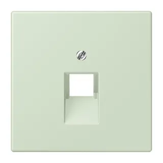 Jung Abdeckung für IAE/UAE-Anschlussdosen 1 x 8-polig, Thermoplast lackiert, Serie LS, vert anglâis pale LC969-1UA218