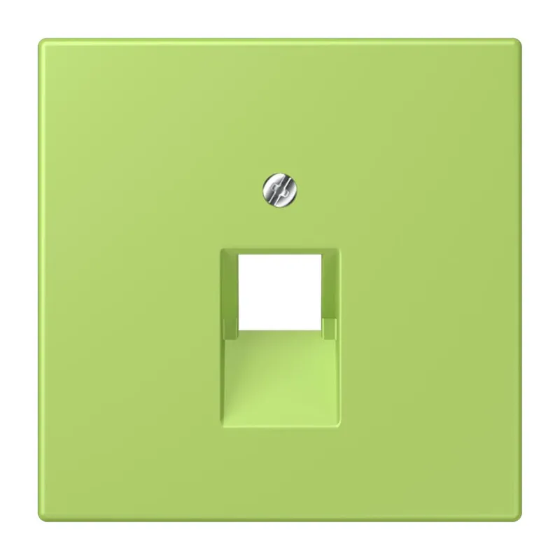 Jung Abdeckung für IAE/UAE-Anschlussdosen 1 x 8-polig, Thermoplast lackiert, Serie LS, vert clair LC969-1UA221