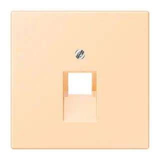 Jung Abdeckung für IAE/UAE-Anschlussdosen 1 x 8-polig, Thermoplast lackiert, Serie LS, ocre LC969-1UA223