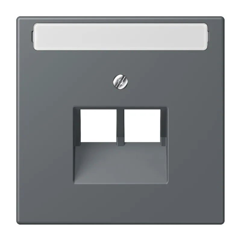 Jung Abdeckung für IAE/UAE-Anschlussdosen 2 x 8-polig, mit Schriftfeld, Thermoplast lackiert, Serie LS, gris foncé 31 LC969-2NAUA202
