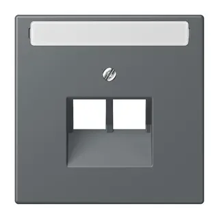 Jung Abdeckung für IAE/UAE-Anschlussdosen 2 x 8-polig, mit Schriftfeld, Thermoplast lackiert, Serie LS, gris foncé 31 LC969-2NAUA202