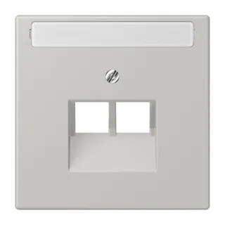 Jung Abdeckung für IAE/UAE-Anschlussdosen 2 x 8-polig, mit Schriftfeld, Thermoplast lackiert, Serie LS, gris clair 31 LC969-2NAUA205