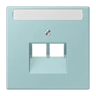 Jung Abdeckung für IAE/UAE-Anschlussdosen 2 x 8-polig, mit Schriftfeld, Thermoplast lackiert, Serie LS, céruléen clair LC969-2NAUA214