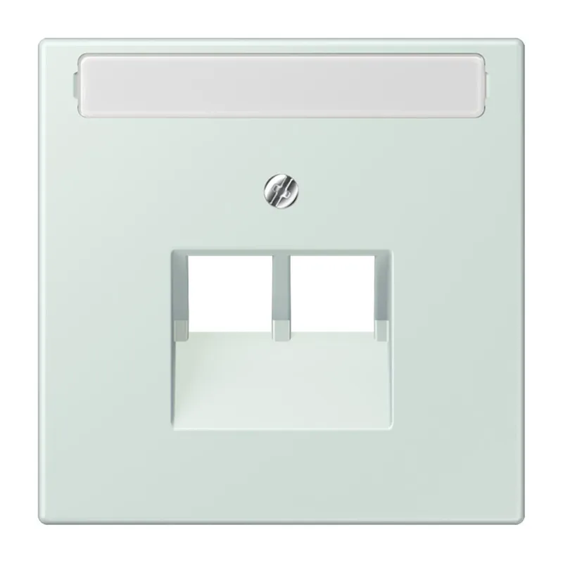 Jung Abdeckung für IAE/UAE-Anschlussdosen 2 x 8-polig, mit Schriftfeld, Thermoplast lackiert, Serie LS, céruléen pale LC969-2NAUA215