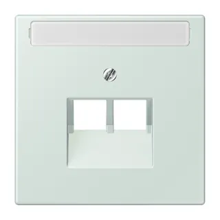 Jung Abdeckung für IAE/UAE-Anschlussdosen 2 x 8-polig, mit Schriftfeld, Thermoplast lackiert, Serie LS, céruléen pale LC969-2NAUA215