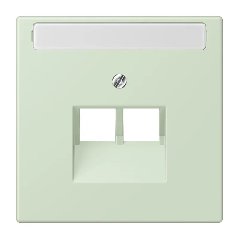Jung Abdeckung für IAE/UAE-Anschlussdosen 2 x 8-polig, mit Schriftfeld, Thermoplast lackiert, Serie LS, vert anglâis pale LC969-2NAUA218