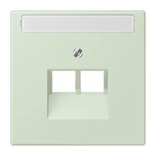 Jung Abdeckung für IAE/UAE-Anschlussdosen 2 x 8-polig, mit Schriftfeld, Thermoplast lackiert, Serie LS, vert anglâis pale LC969-2NAUA218