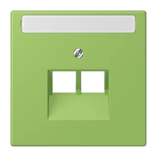 Jung Abdeckung für IAE/UAE-Anschlussdosen 2 x 8-polig, mit Schriftfeld, Thermoplast lackiert, Serie LS, vert 31 LC969-2NAUA220
