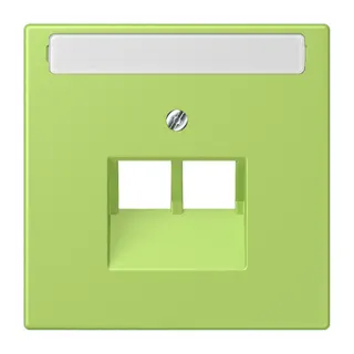 Jung Abdeckung für IAE/UAE-Anschlussdosen 2 x 8-polig, mit Schriftfeld, Thermoplast lackiert, Serie LS, vert clair LC969-2NAUA221