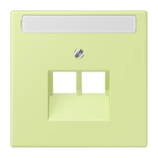 Jung Abdeckung für IAE/UAE-Anschlussdosen 2 x 8-polig, mit Schriftfeld, Thermoplast lackiert, Serie LS, vert jaune clair LC969-2NAUA222