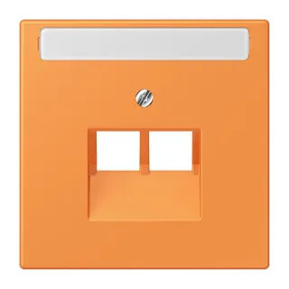 Jung Abdeckung für IAE/UAE-Anschlussdosen 2 x 8-polig, mit Schriftfeld, Thermoplast lackiert, Serie LS, orange clair LC969-2NAUA225