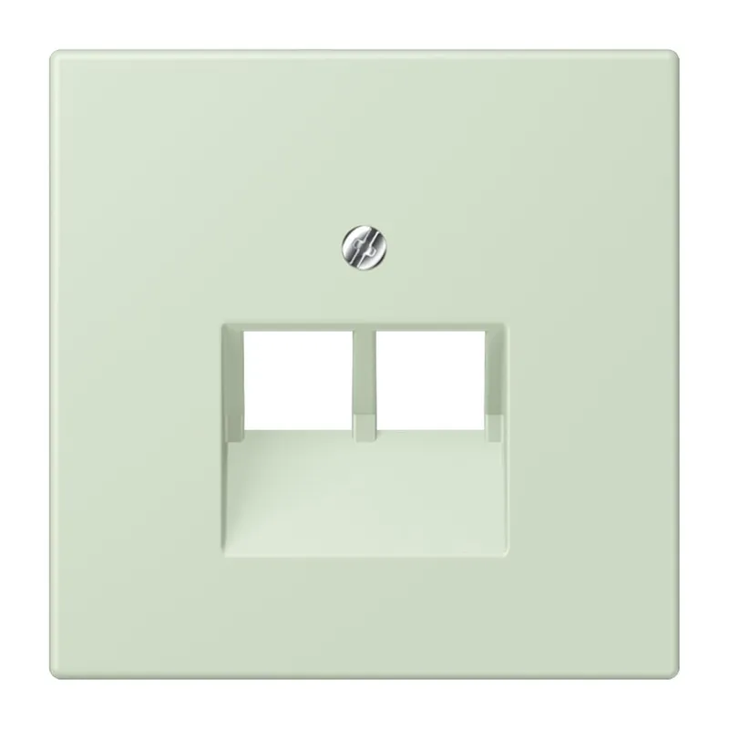 Jung Abdeckung für IAE/UAE-Anschlussdosen 2 x 8-polig, Thermoplast lackiert, Serie LS, vert anglâis pale LC969-2UA218