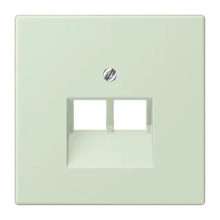 Jung Abdeckung für IAE/UAE-Anschlussdosen 2 x 8-polig, Thermoplast lackiert, Serie LS, vert anglâis pale LC969-2UA218