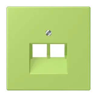 Jung Abdeckung für IAE/UAE-Anschlussdosen 2 x 8-polig, Thermoplast lackiert, Serie LS, vert clair LC969-2UA221