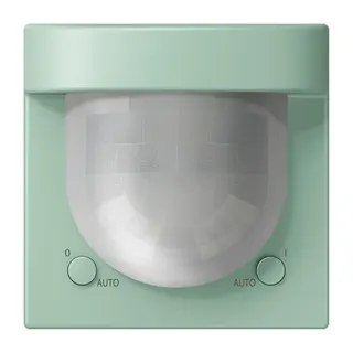Jung HOME Bewegungsmelder 2,20 m, Serie LS, vert anglais clair BTLC17182217