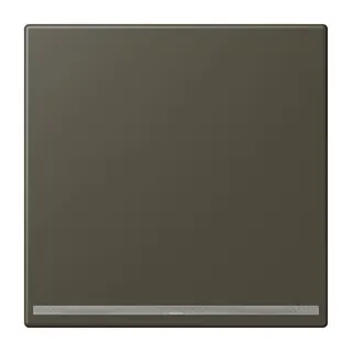 Jung LED-Orientierungslicht, Thermoplast lackiert, Serie LS, ombre naturelle 31 LC1539-OOLNW241