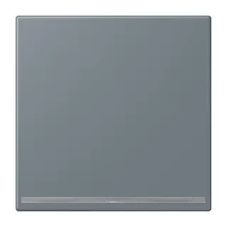 Jung LED-Orientierungslicht, Thermoplast lackiert, Serie LS, gris 59 LC1539-OOLNW251