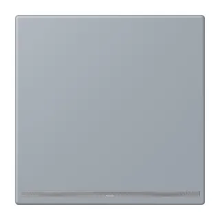 Jung LED-Orientierungslicht, Thermoplast lackiert, Serie LS, gris clair 59 LC1539-OOLNW257