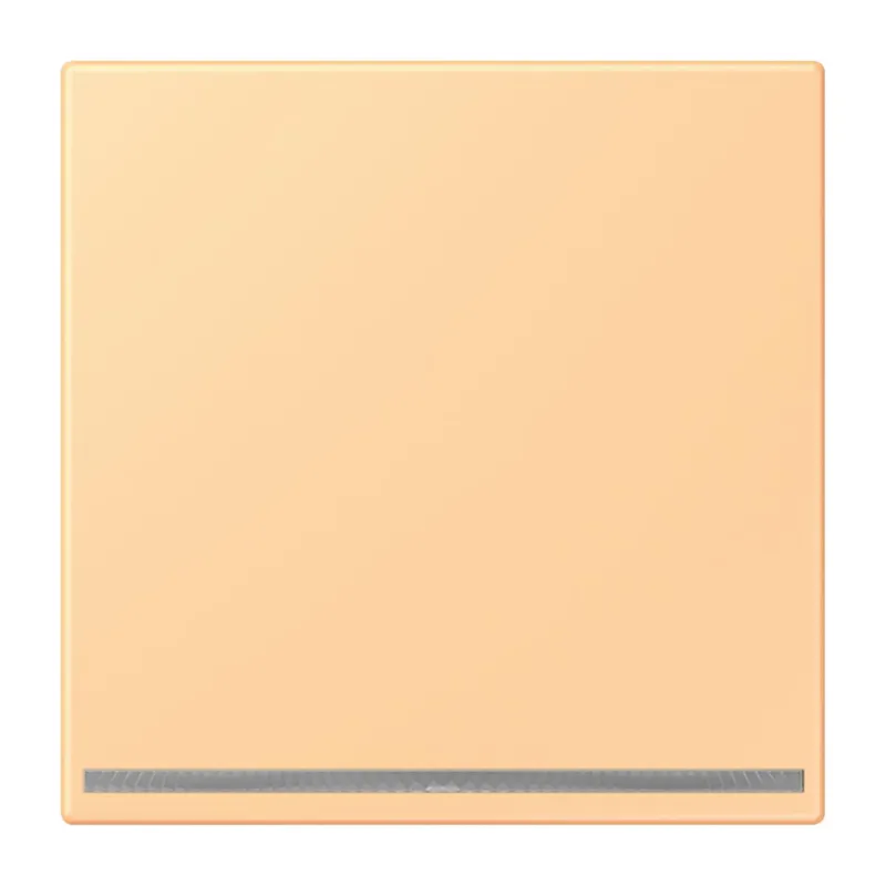 Jung LED-Orientierungslicht, Thermoplast lackiert, Serie LS, terre sienne claire 59 LC1539-OOLNW258