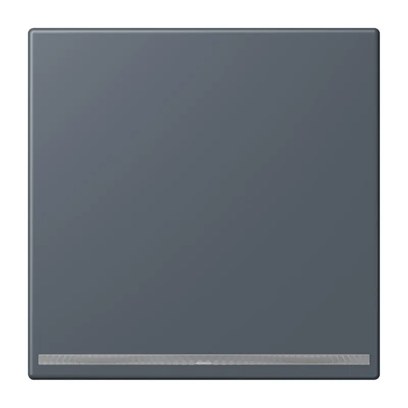 Jung LED-Orientierungslicht, Thermoplast lackiert, Serie LS, gris fonce 59 LC1539-OOLNW262